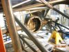 my mav backhalf 024.jpg