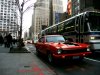 mavnyc20.jpg