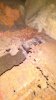 IMG_20220131_214709.jpg