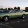 thegreenmachine