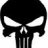 the punisher