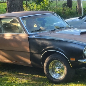 20240904_183023.jpg