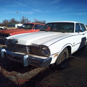 IMG_20201206_113222.jpg