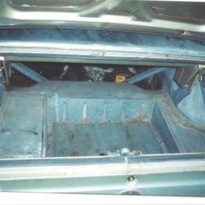 Trunk
