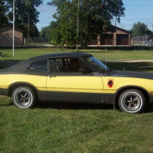 1976 Stallion