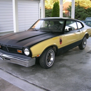1976 Stallion