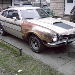 At Home In The Stable