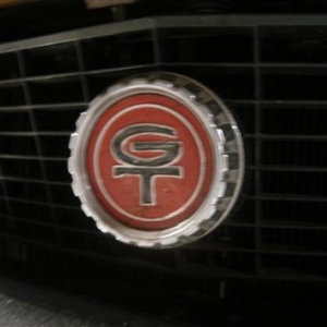 Grill Medallions On Brazilian Mavericks