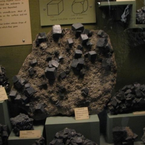Display At The Joplin Mineral Museum