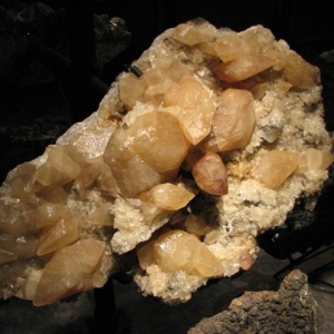 Display At The Joplin Mineral Museum