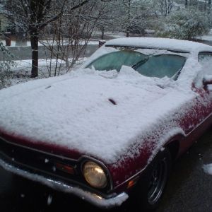 Snow In Ga!