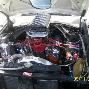 302 V8 Mav