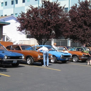 Line Up Of Mavericks And Comets