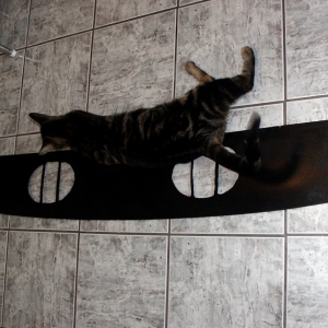 Rear Shelf