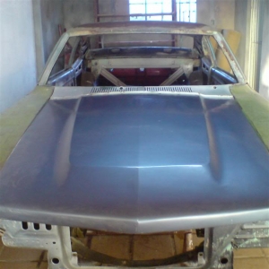 Brazilian Maverick Body Shell