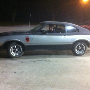 Silver Stallion