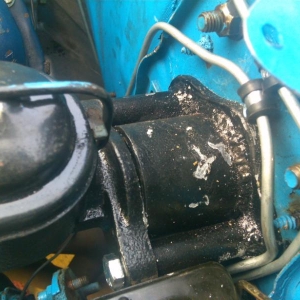 Img 0010215