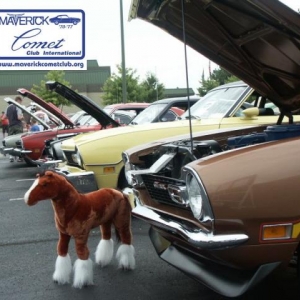 Mcci Roundup Nationals 2011 - Show Day