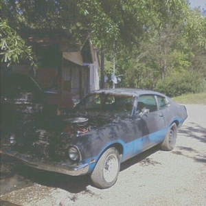 Johnnys Mav