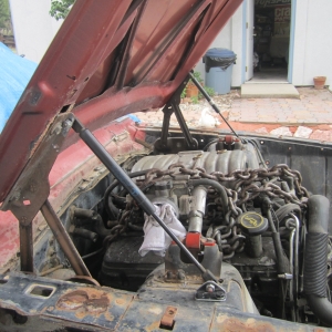 Hood Strut Maverick 010