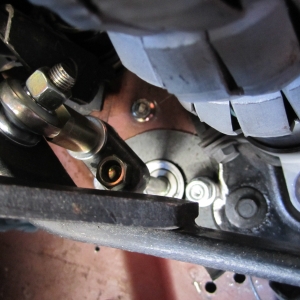 Mav Cl Rod 004