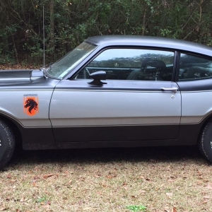 Silver Stallion