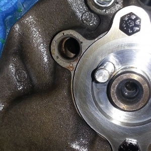 missing oil galley plug