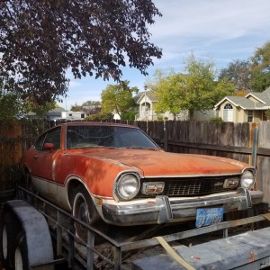 74 maverick grabber