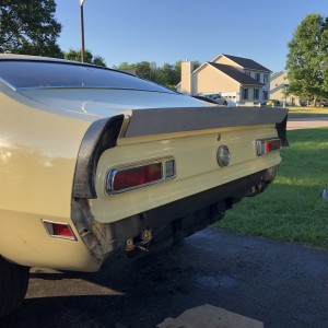 Mid-Project, Rear