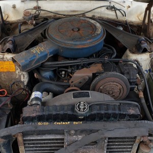 Wanda.... da 72 project