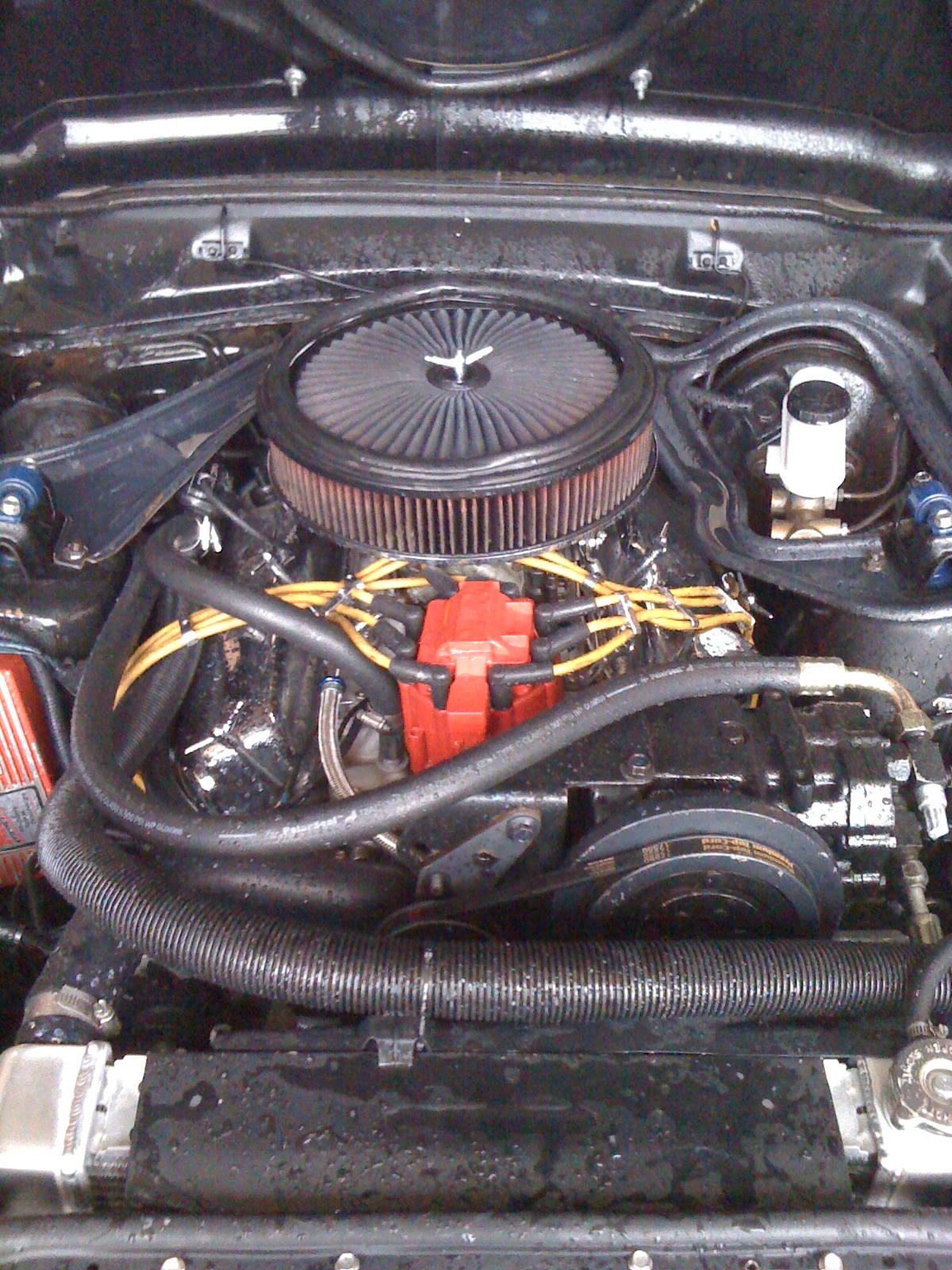 Crowded (but Washed!) Engine Bay