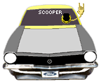 Emoticon for scooper