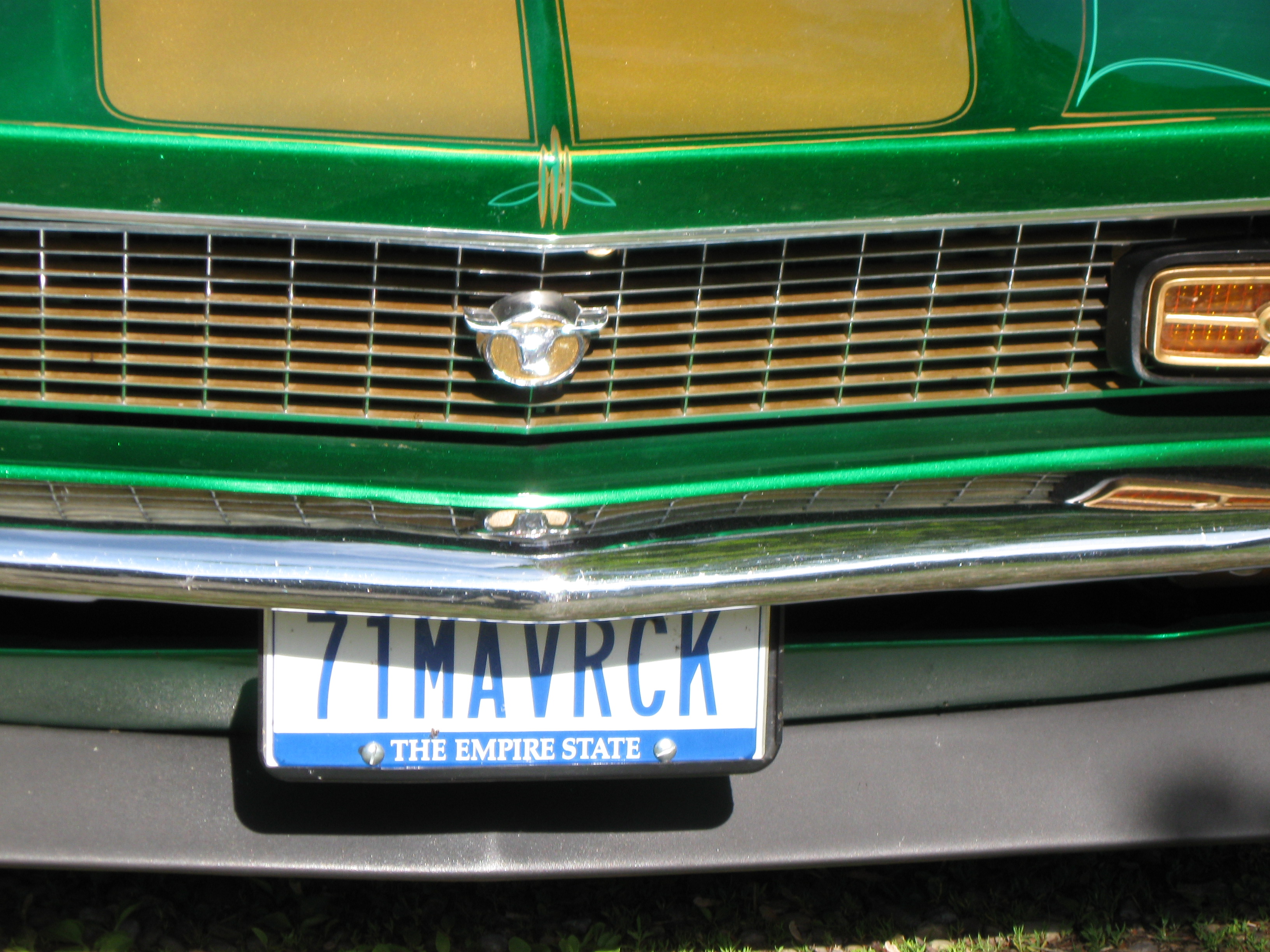 Front Grille And Plate