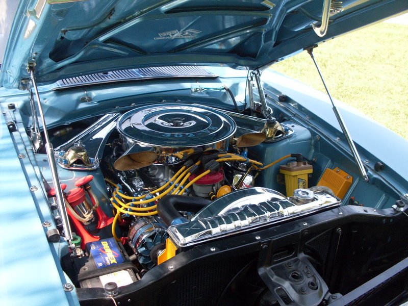 Guilherme Sobral's Maverick