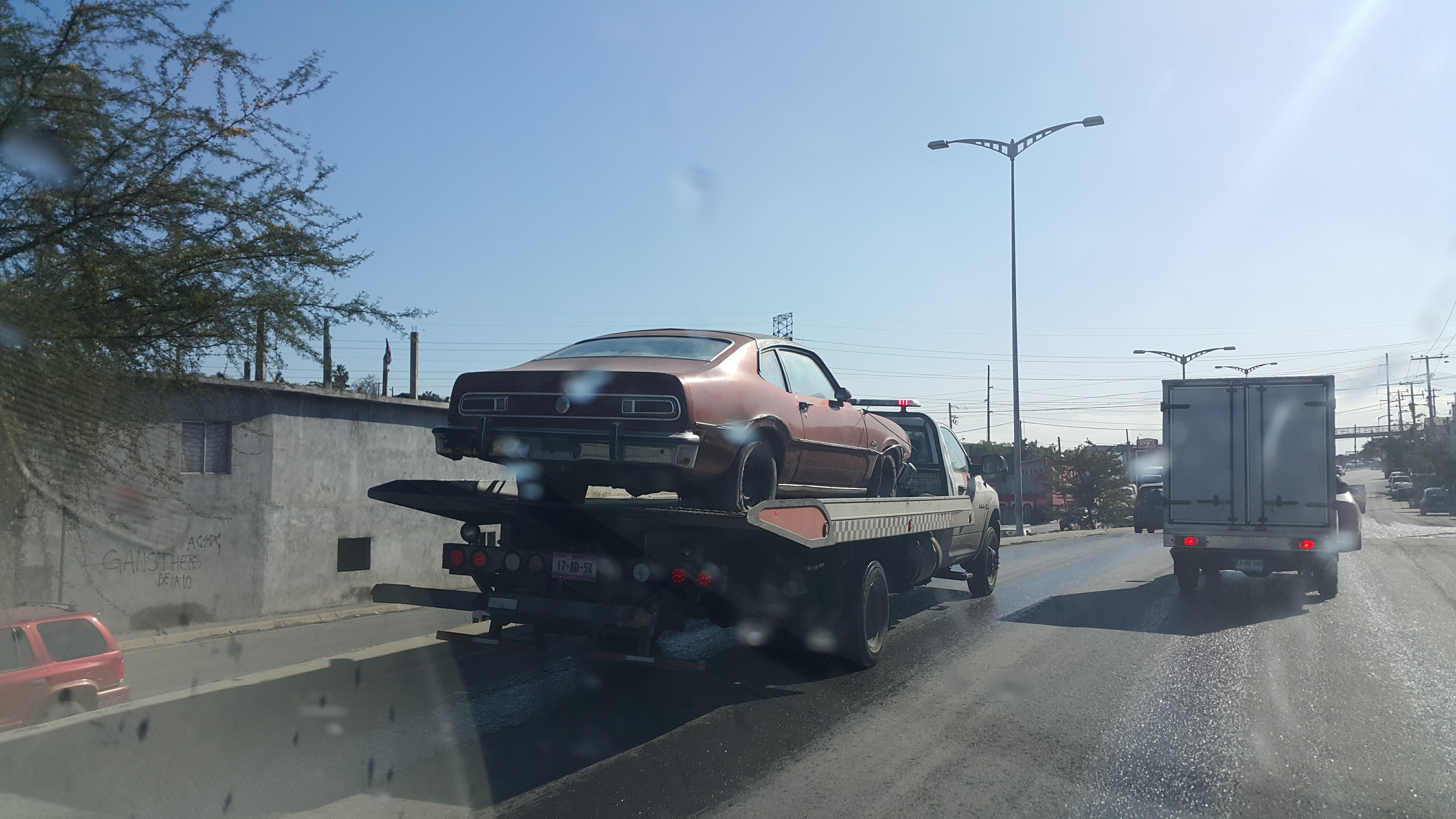 in a trip to new home