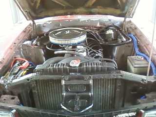 It Eats Japanese Rice 24 Hours A Day, 7 Days A Week.