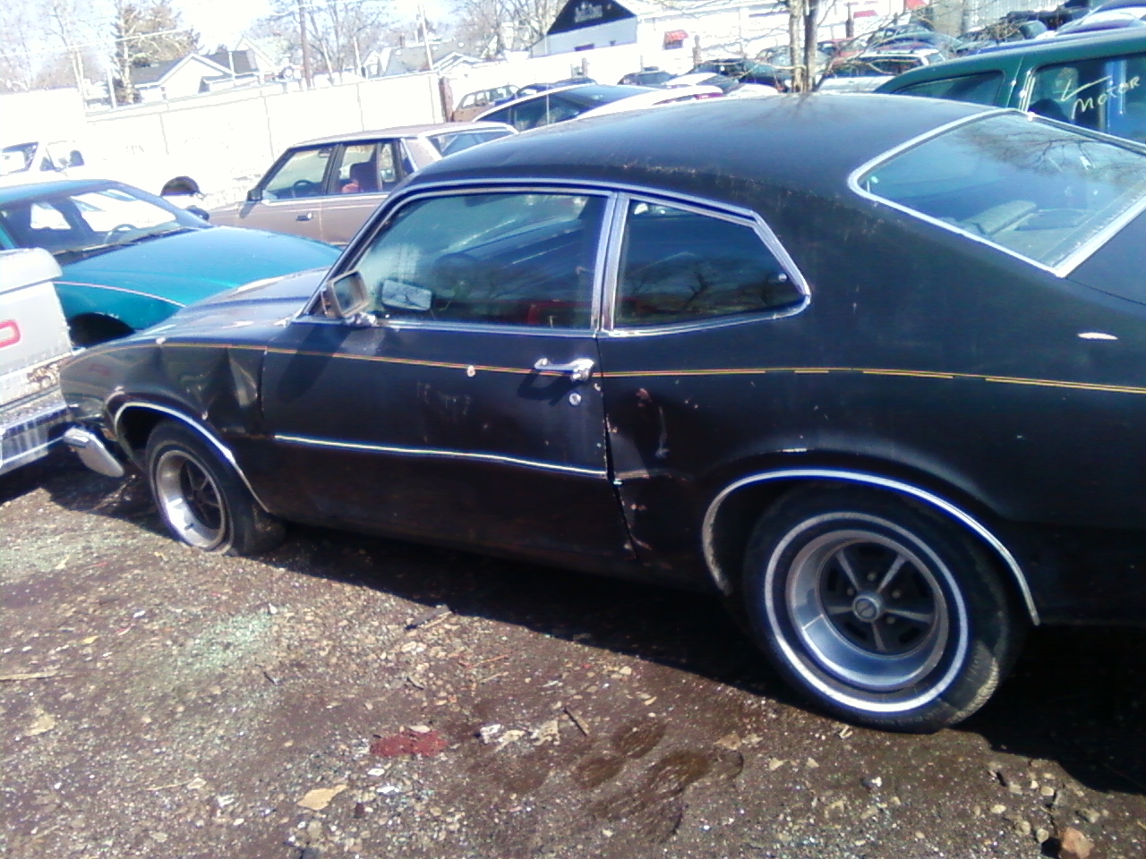 Mav In Yard