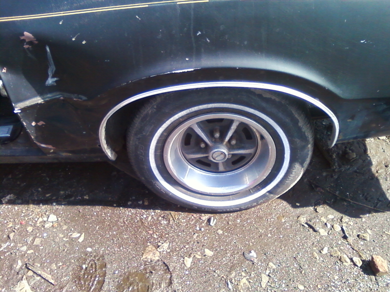 Mav Wheel