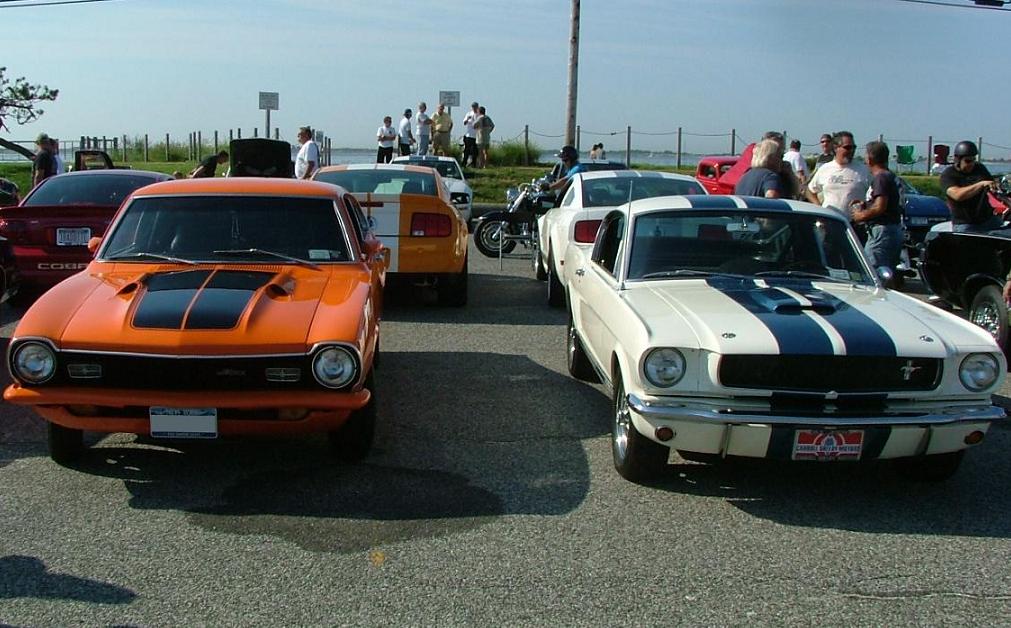 Maverick Grabber with some cousins