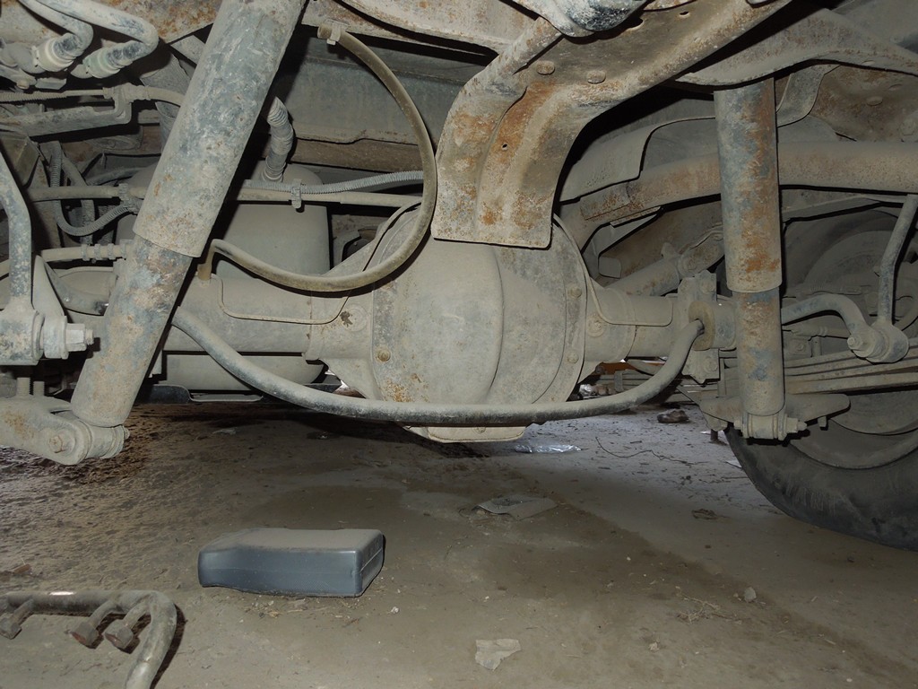 Maverick Restoration Project