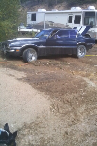 Pulling Her Out If The Mud An Cleaning Her Up After The Flood